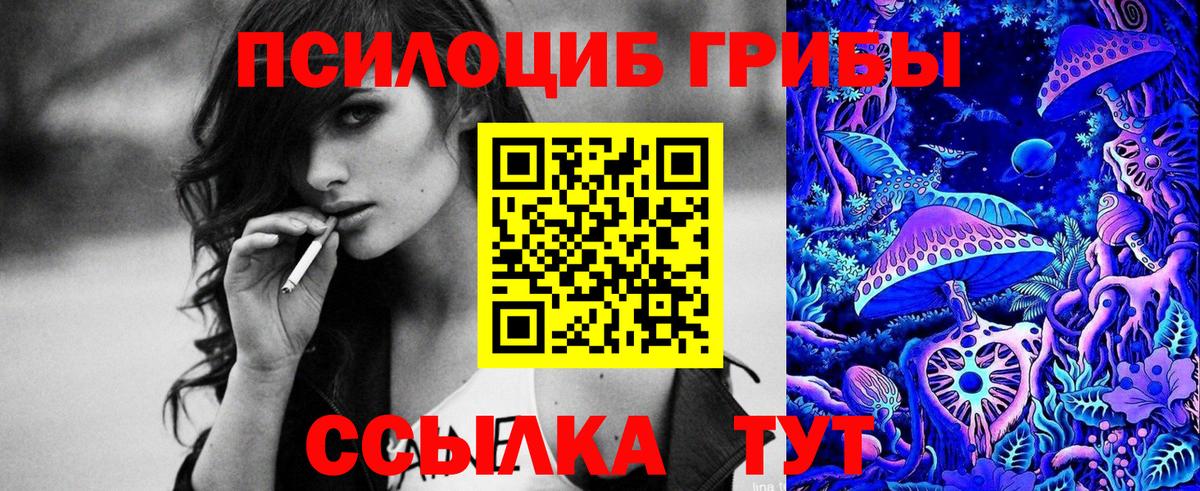 Дятьково  Галлюциногенные грибы MAGIC MUSHROOMS  Вход с VPN 